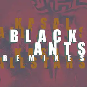 Pochette de l'album "Black Ants Remixes" par le groupe Kasai Allstars