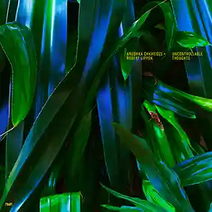 Pochette de l'album "Uncontrollable Thoughts" par les artistes Anushka Chkheidze et Robert Lippok