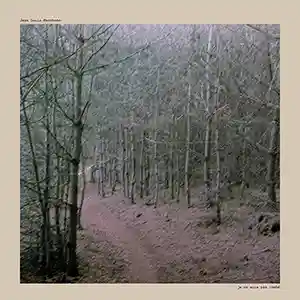 Pochette de l'album "Je ne suis pas tombé" de Jean Louis Marchand