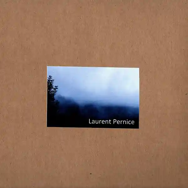 Pochette de l'album "Presque Nature (Musiques Immobiles 26-30)" par l'artiste Laurent Pernice