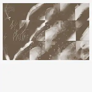 Pochette de l'album "For a Moment the Sky Knew My Name" par l'artiste Peter Knight