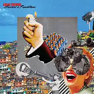 adrian sherwood survival and resistance lp