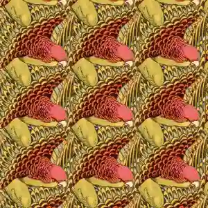 Pochette de l'album "Tupi Novo Mundo" (Um Mais Discos) par le groupe Iconili