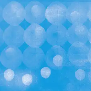 Pochette de l'album "Objects of Interest" par les artistes Magda Mayas et Tina Douglas