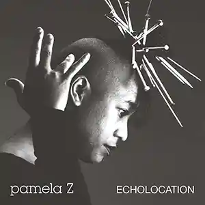 Pochette de l'album "Echolocation" par l'artiste Pamela Z
