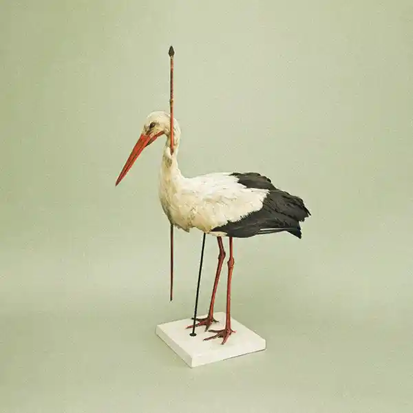 Pochette de l'album "Pieces from Places" par Passepartout Duo