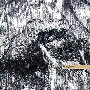 Pochette de l'album "Lila Lichen" par l'artiste Adrien Amey