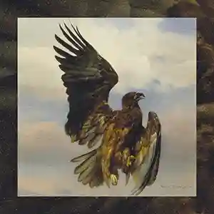 Pochette de l'album "Vertiges de la Mue" par L'Oiseau Ravage