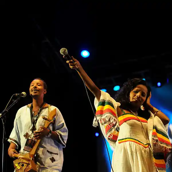 Photo de Dub Colossus en concert pour illustrer l'émission "Solénoïde - Dub Translations 39"