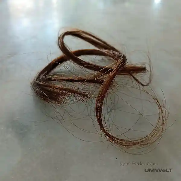 Pochette de l'album "UMWeLT" par l'artiste Igor Ballereau