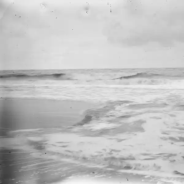 Pochette de l'album "Brisk" par l'artiste Juli Deak