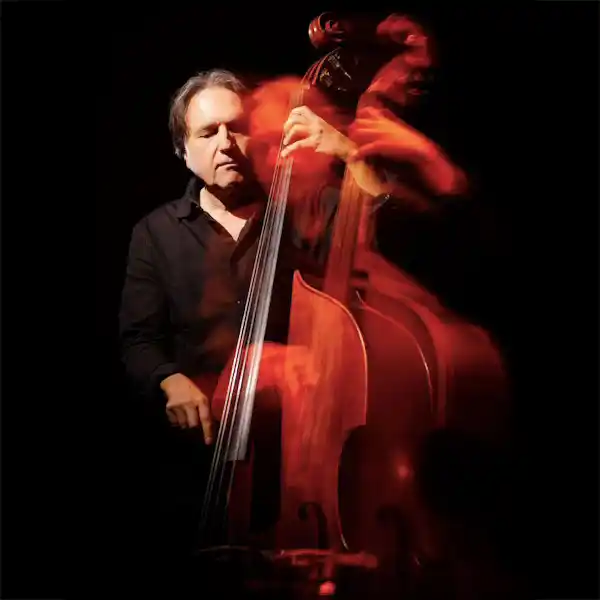 Photo de l'artiste Simon Mary avec sa basse sur scène