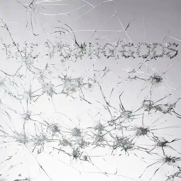 Pochette de l'album "Appear Disappear" par le groupe The Young Gods