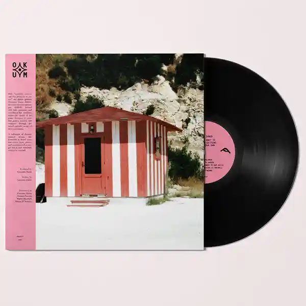 Version vinyle de l'album "Wandering Away Is Safer Than Getting Lost on Your Own" par l'artiste Giacomo Zanus