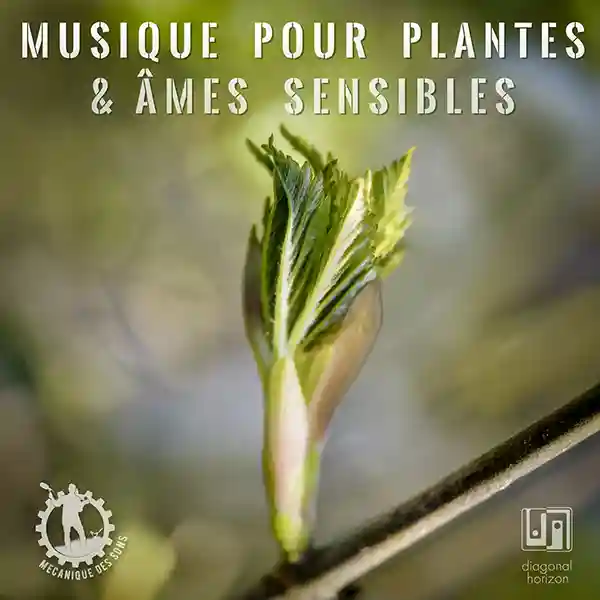 Pochette de l'album "Musique pour plantes et âmes sensibles" par Mécanique des sons