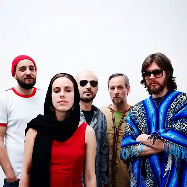 Photo du groupe Karl Hector and the Malcouns
