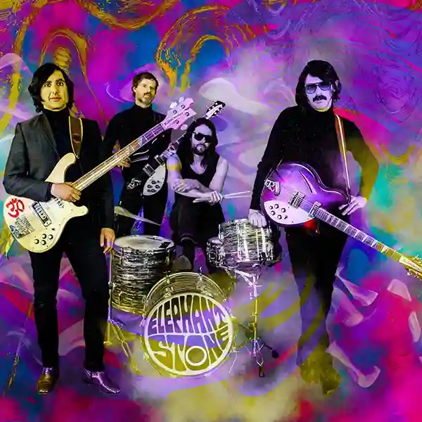 Photo du groupe Elephant Stone